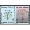 Maroko - Nr 1357 - 58 2000r - Kwiaty
