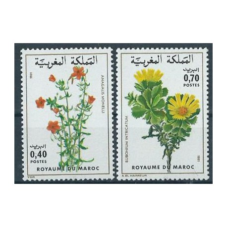 Maroko - Nr 955 - 56 1981r - Kwiaty