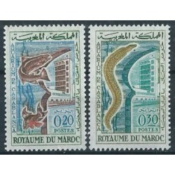 Maroko - Nr 506 - 07 1962r - Ryby