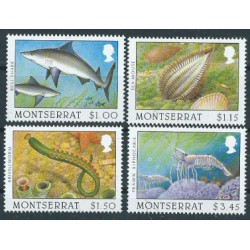 Montserrat - Nr 947 - 50 1996r - Ryby - Fauna morska