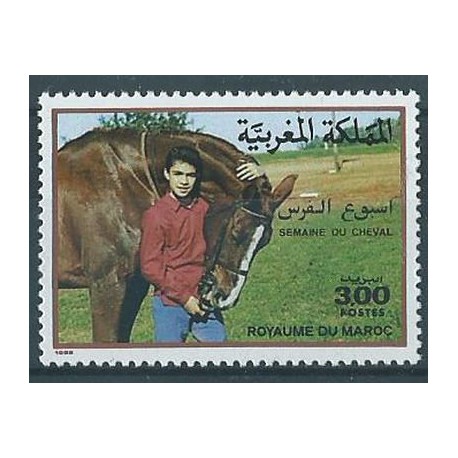 Maroko - Nr 1137 1988r - Koń