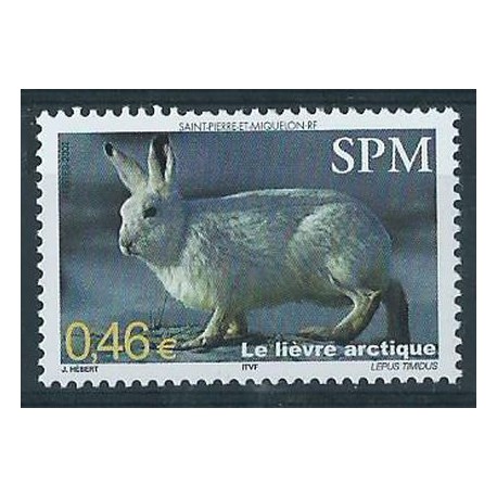 SPM - Nr 869  2002r - Ssak