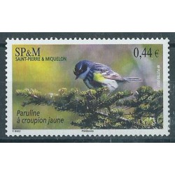 SPM - Nr 982 2007r - Ptak