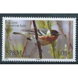 SPM - Nr 1307 - Ptaki