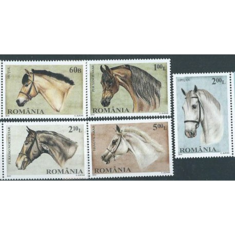Rumunia -  Nr 6439 - 43 2010 r  - Konie