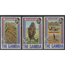 Gambia - Nr 278 - 90 1973r - Rośliny
