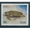 Pakistan - Nr 548 1981r - Fauna morska - Gady