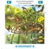 Palau - Nr 318 - 37 Klb 1989r - Ptaki - Gady - Ryby