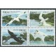 Palau - Nr 047 - 50 1984r - Ptaki