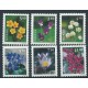 Norwegia - Nr 1269 - 74 1998r - Kwiaty