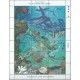 Mikronezja - Nr 101 - 18 Klb 1988r - Ryby -  Płetwonurek