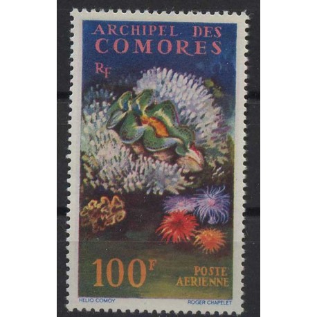 Komory - Nr 050 1962r - Korale - Kol. francuskie