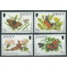 Jersey - Nr 549 - 52 1991r - Motyle