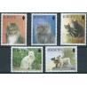 Jersey - Nr 645 - 49 1994r - Koty