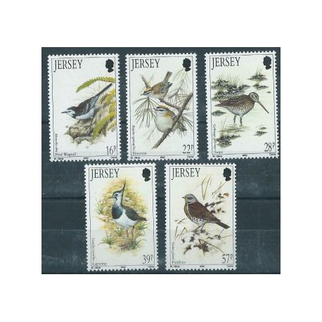 Jersey - Nr 563 - 67 1992r - Ptaki