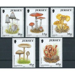 Jersey - Nr 639 - 43 1994r - Grzyby
