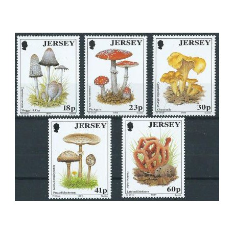 Jersey - Nr 639 - 43 1994r - Grzyby