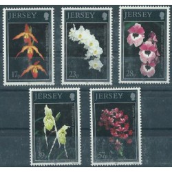 Jersey - Nr 607 - 11 1993r - Kwiaty