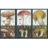 Izrael - Nr 1675 - 77 2002r - Grzyby