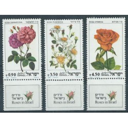 Izrael - Nr 864 - 66 1981r - Kwiaty