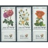 Izrael - Nr 864 - 66 1981r - Kwiaty