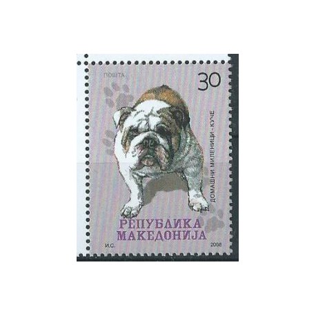 Macedonia - Nr 457 2008r - Pies