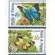 Wallis & Futuna - Nr 907 - 08 2005r - Motyle