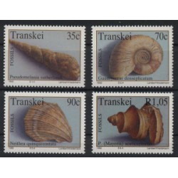 Transkei - Nr 295 - 98 1992r - Muszle