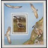 Transkei - Bl 8 1993r - Ptaki