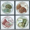 Tonga - Nr 1609 - 12 2001r - Muszle