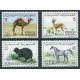 Tunezja - Nr 711 - 14 1969r  - Ssaki  - Koń