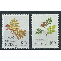 Norwegia - Nr 825 - 26 1980r - Kwiaty