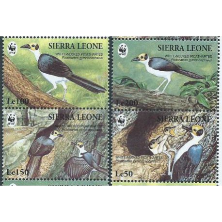 Sierra Leone - Nr 2171 - 74 1994r - WWF - Ptaki