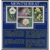 Montserrat - Bl 12 1977r - Kwiaty