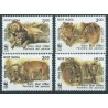 Indie - Nr 1704 - 07 1999r - WWF - Ssaki