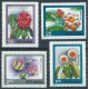 Indie - Nr 722 - 251977r - Kwiaty