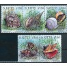 St. Kitts - Nr 415 - 19 Pasek  1995r - Muszle