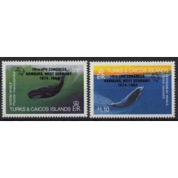 Turks & Caicos -  Nr 699 - 00 1984r - Ssaki morskie