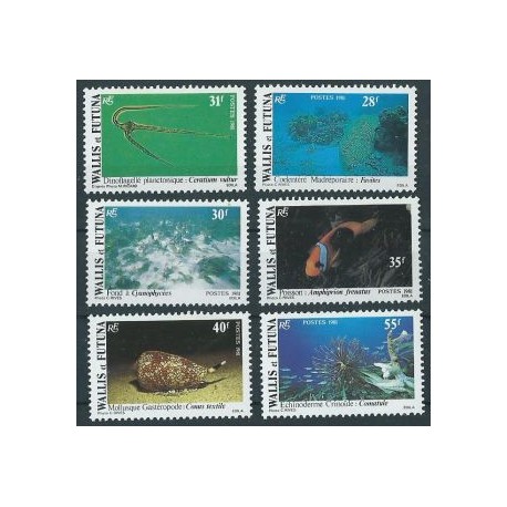 Wallis & Futuna - Nr 390 - 95 A 1981r - Fauna morska - Ryby - Muszla