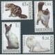 Mołdawia - Nr 586 - 89 2007r - Koty