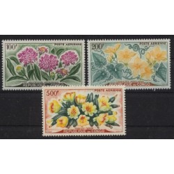Kongo - Nr 009 - 11 1961r - Kwiaty