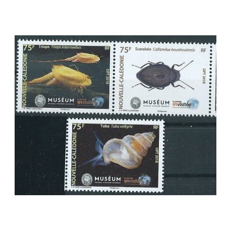 Nowa Kaledonia - Nr 1757 - 59 2018r  - Fauna morska