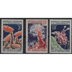 Nowa Kaledonia - Nr 402 - 04 1964r - Fauna morska