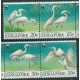 Singapur - Nr 705 - 08 Pasek 1993r - WWF - Ptaki
