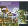Grenada Gr.  - Nr 3807 - 12 Bl 556 2002r - Grzyby