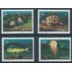 Malta - Nr 599 - 02 1979r - Fauna morska  -  Ryba