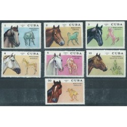 Kuba - Nr 1782 - 88 1972r - Konie