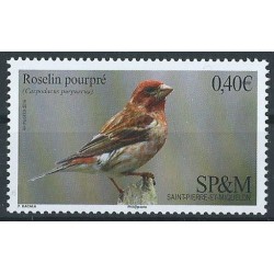 SPM - Nr 1241 2016r - Ptaki