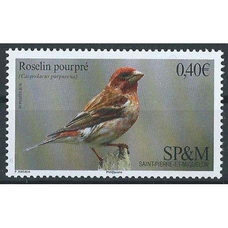 SPM - Nr 1241 2016r - Ptaki