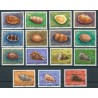Samoa - Nr 380 - 94 1978r - Muszle